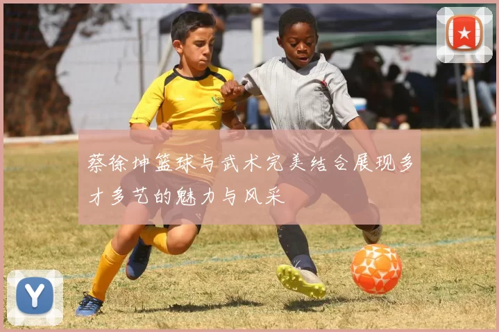 蔡徐坤篮球与武术完美结合展现多才多艺的魅力与风采