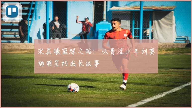 宋晨曦篮球之路：从青涩少年到赛场明星的成长故事